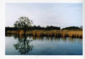 natuurcamping Zuid-Holland