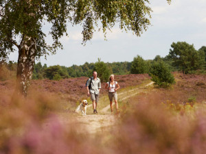 natuurcamping Duitsland