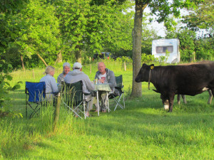 boerencamping brabant