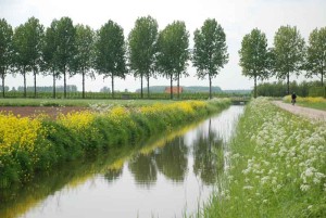boerencamping Gelderland