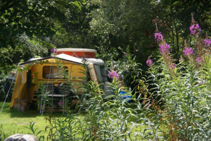 Kleine camping Gelderland