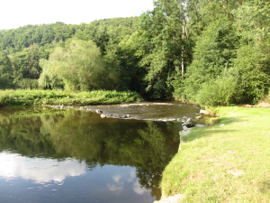 kleine camping Ardennen