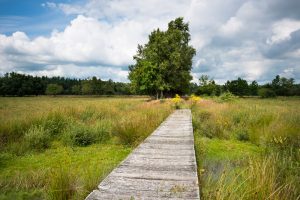 natuurcamping drenthe