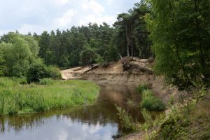 natuurcamping Overijssel