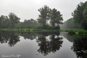 Een rivier en bomen dichtbij een natuurcamping brabant