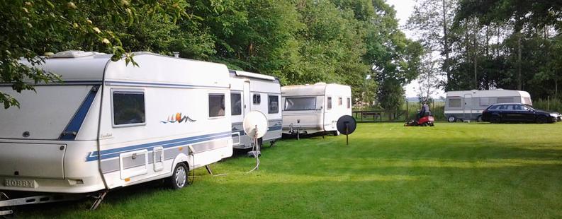 natuurcamping Nederland